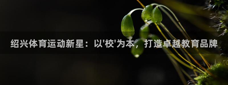 3377体育官网下载软件：绍兴体育运动新星：以\'校