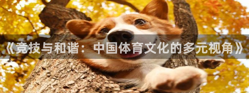 3377体育官网下载开户：《竞技与和谐：中国体育文化