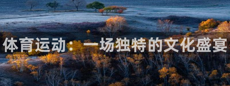 3377体育官网下载联系电话：体育运动：一场独特的文