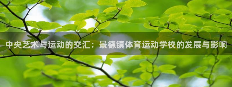 3377体育官方正版app娱乐平台