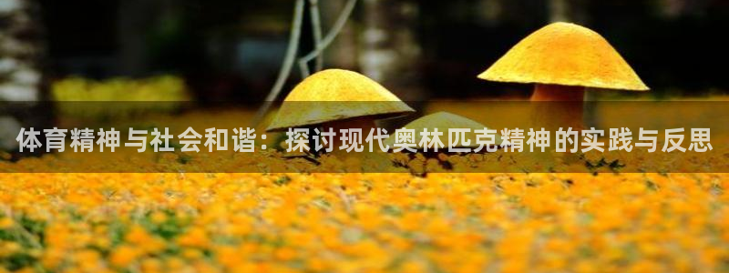 3377体育官网下载软件：体育精神与社会和谐：探讨现