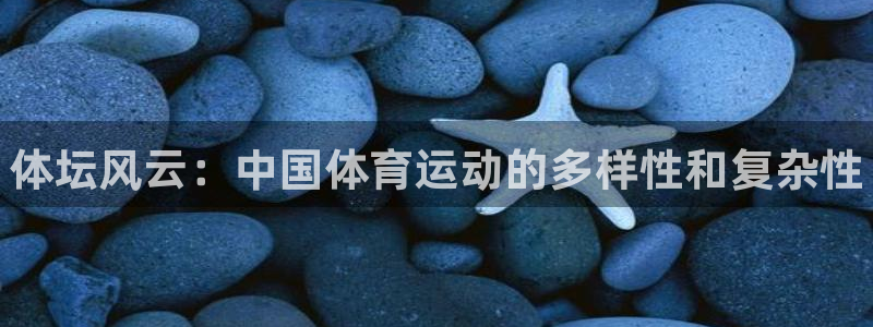 3377体育官方正版app娱乐40996：体坛风云：