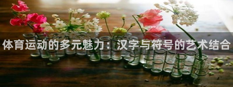 3377体育官方正版app集团简介：体育运动的多元魅