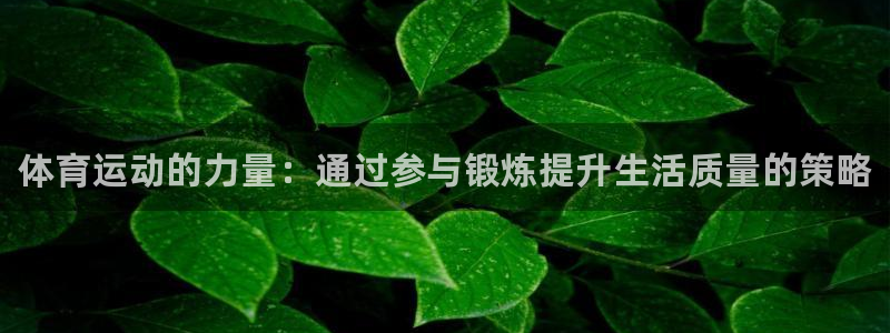 海南3377体育官网下载：体育运动的力量：通过参与锻炼提升生