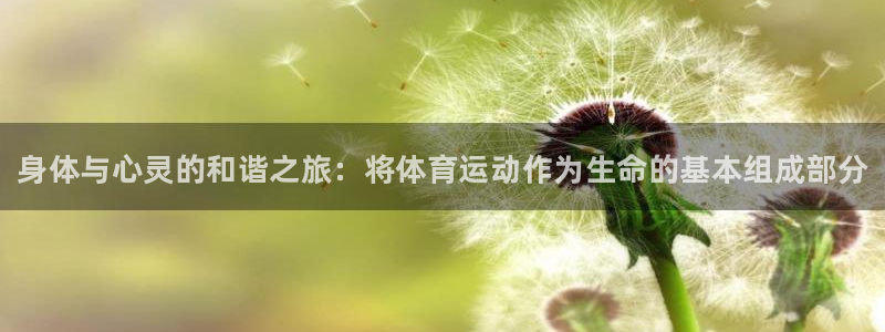 3377体育官网下载注册：身体与心灵的和谐之旅：将体育运动作