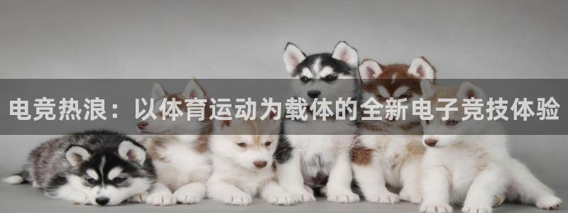 3377体育官网下载平台APP：电竞热浪：以体育运动