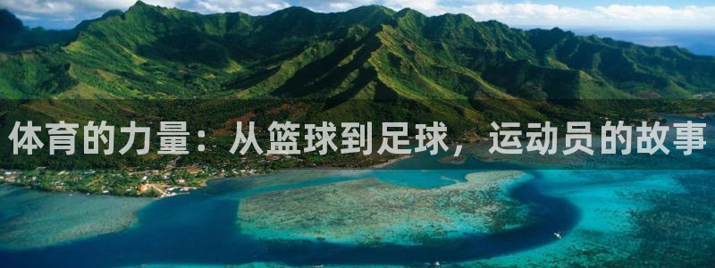 3377体育官方集团官网：体育的力量：从篮球到足球，运动员的