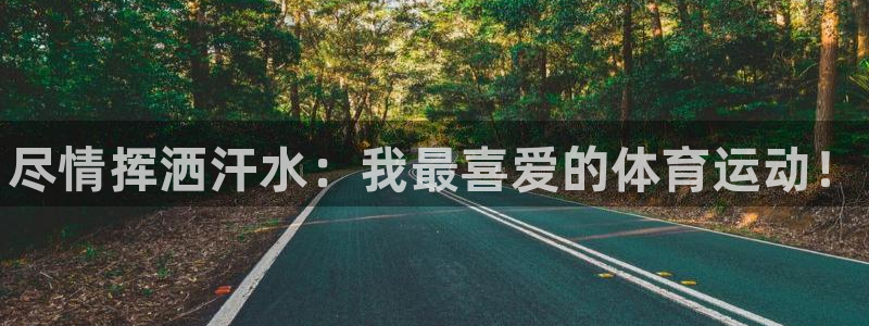 3377体育官网下载招商：尽情挥洒汗水：我最喜爱的体