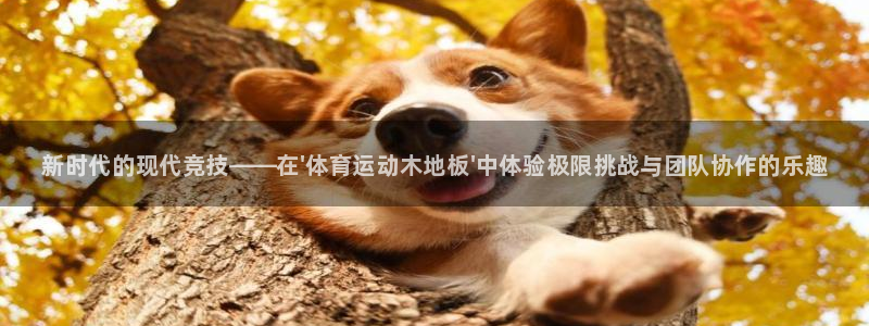 3377体育官方平台体育：新时代的现代竞技——在\'体育运动