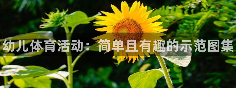 3377体育官网下载平台是正规平台吗知乎：幼儿体育活