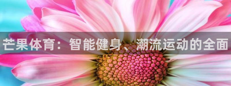 3377体育官网下载招商电话号码查询