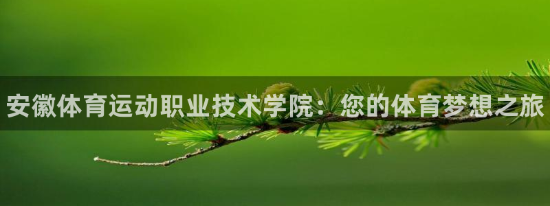 3377体育官网下载平台注册要钱吗：安徽体育运动职业