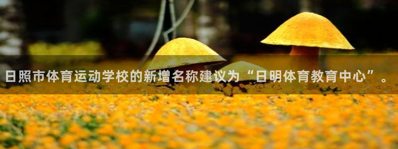 3377体育官方正版app集团：日照市体育运动学校的