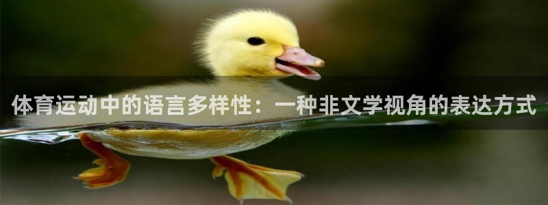 海南3377体育官网下载：体育运动中的语言多样性：一