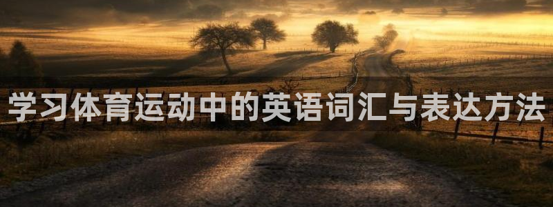 3377体育官网下载娱乐：学习体育运动中的英语词汇与