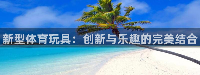 德国3377体育官方正版app集团：新型体育玩具：创
