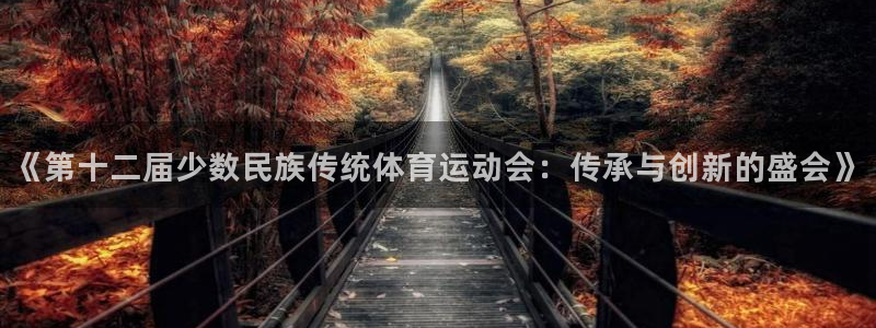 3377体育官网下载招商电话地址：《第十二届少数民族