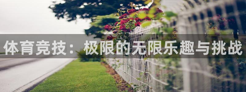 3377体育官方正版app代理：体育竞技：极限的无限