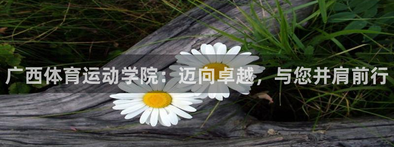 3377体育官网下载招商电话是多少啊：广西体育运动学院：迈向