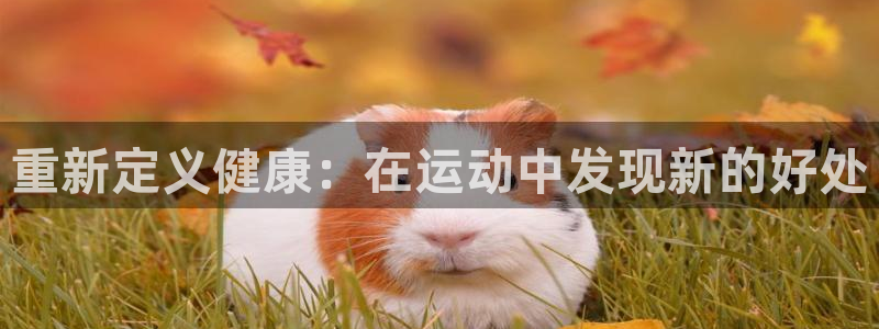 3377体育官方正版app集团官网网址：重新定义健康：在运动