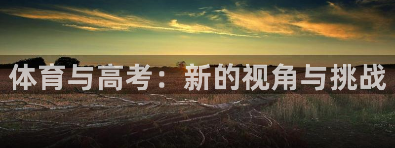 3377体育官方正版app官方：体育与高考：新的视角与挑战