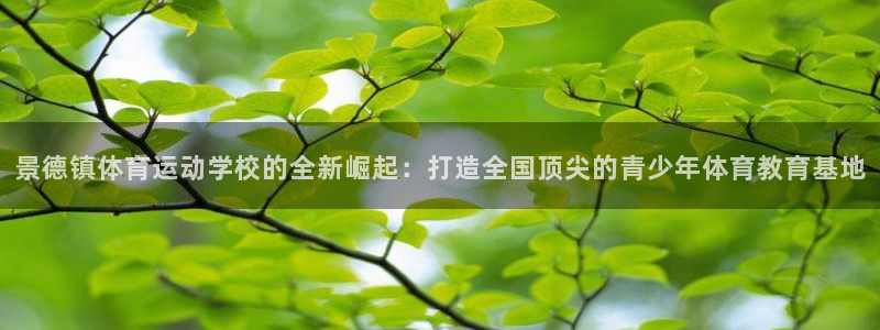 3377体育官网下载招商电话号码