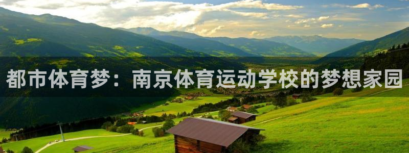 海南3377体育官网下载发展怎么样：都市体育梦：南京体育运动