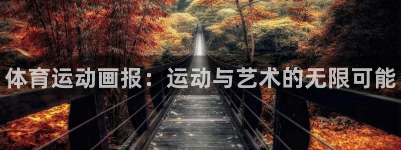 3377体育官方正版app代理：体育运动画报：运动与艺术的无
