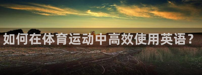 3377体育官网下载平台