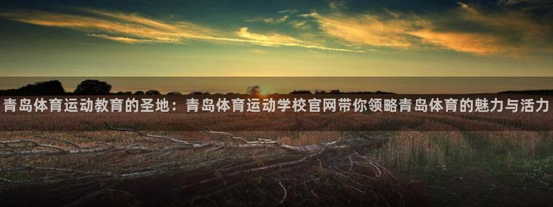 3377体育官方正版app娱乐代理怎么样：青岛体育运动教育的