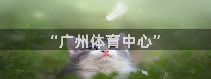 3377体育官网下载平台APP