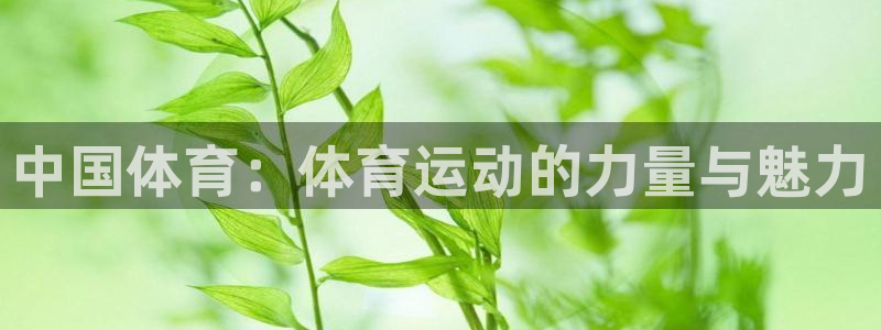 3377体育官网下载：中国体育：体育运动的力量与魅力