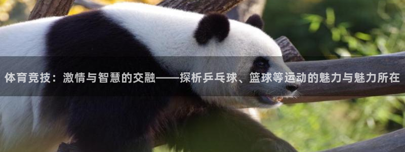 3377体育能爆吗：体育竞技：激情与