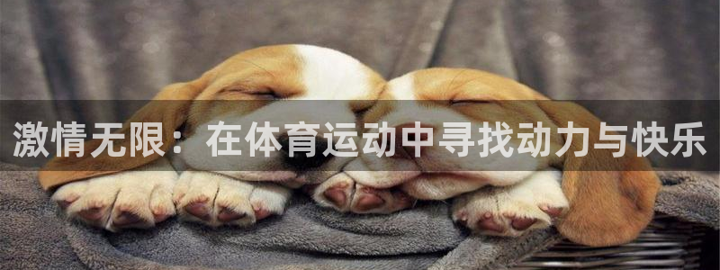 3377体育官网址：激情无限：在体育运动中寻找动力与快乐
