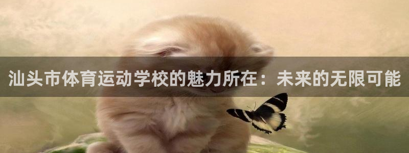 3377体育官网下载：汕头市体育运动学校的魅力所在：未来的无