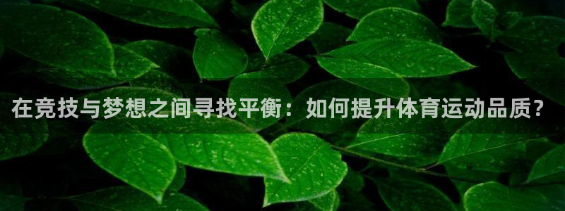 3377体育现在叫什么：在竞技与梦想