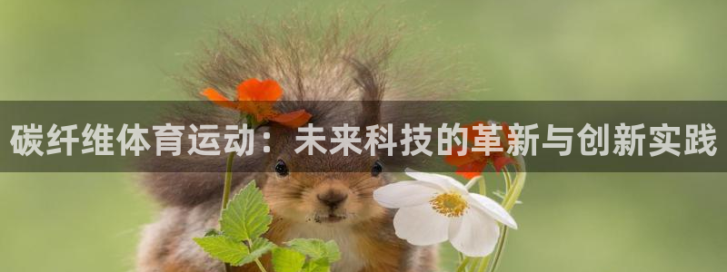 3377体育中国官方网站入口：碳纤维